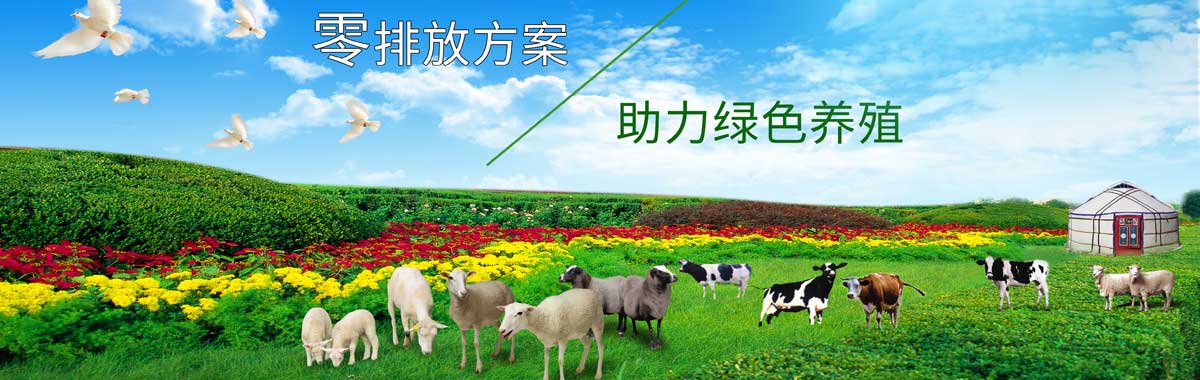&#31859;&#20848;